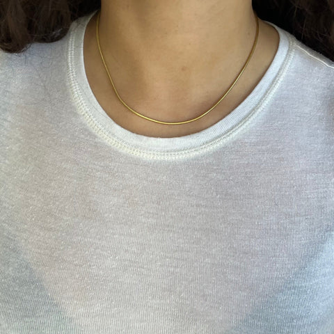 Vintage Snake Chain Necklace