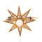 1.37ctw Antique Diamond & Pearl Starburst Brooch