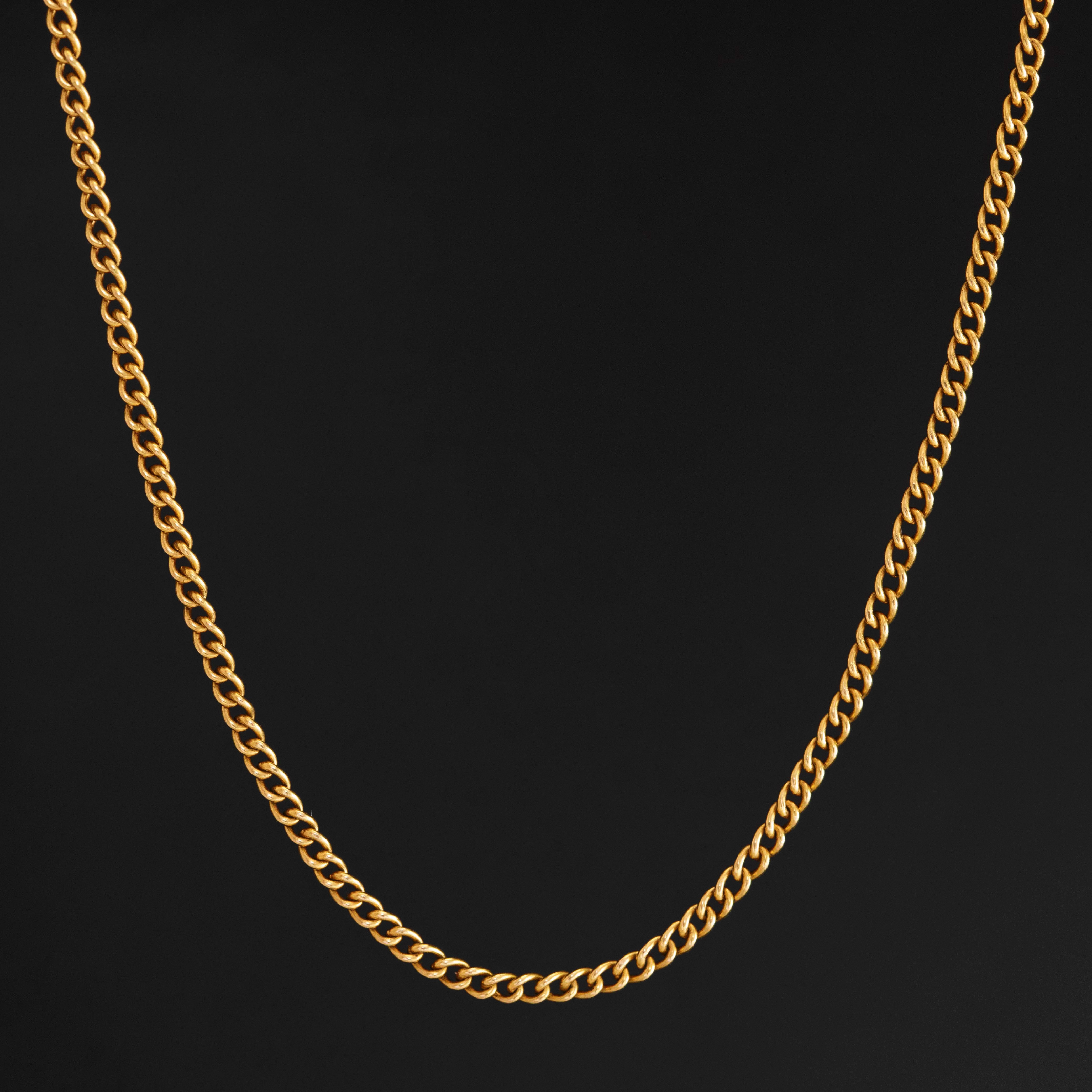 Antique Petite Curb Link Chain Necklace