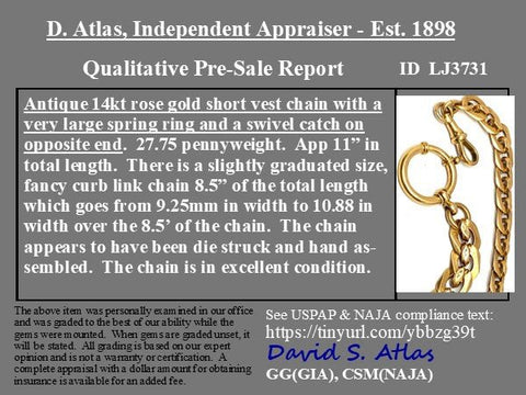 Antique Vest Chain