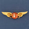 WInged serpent brooch