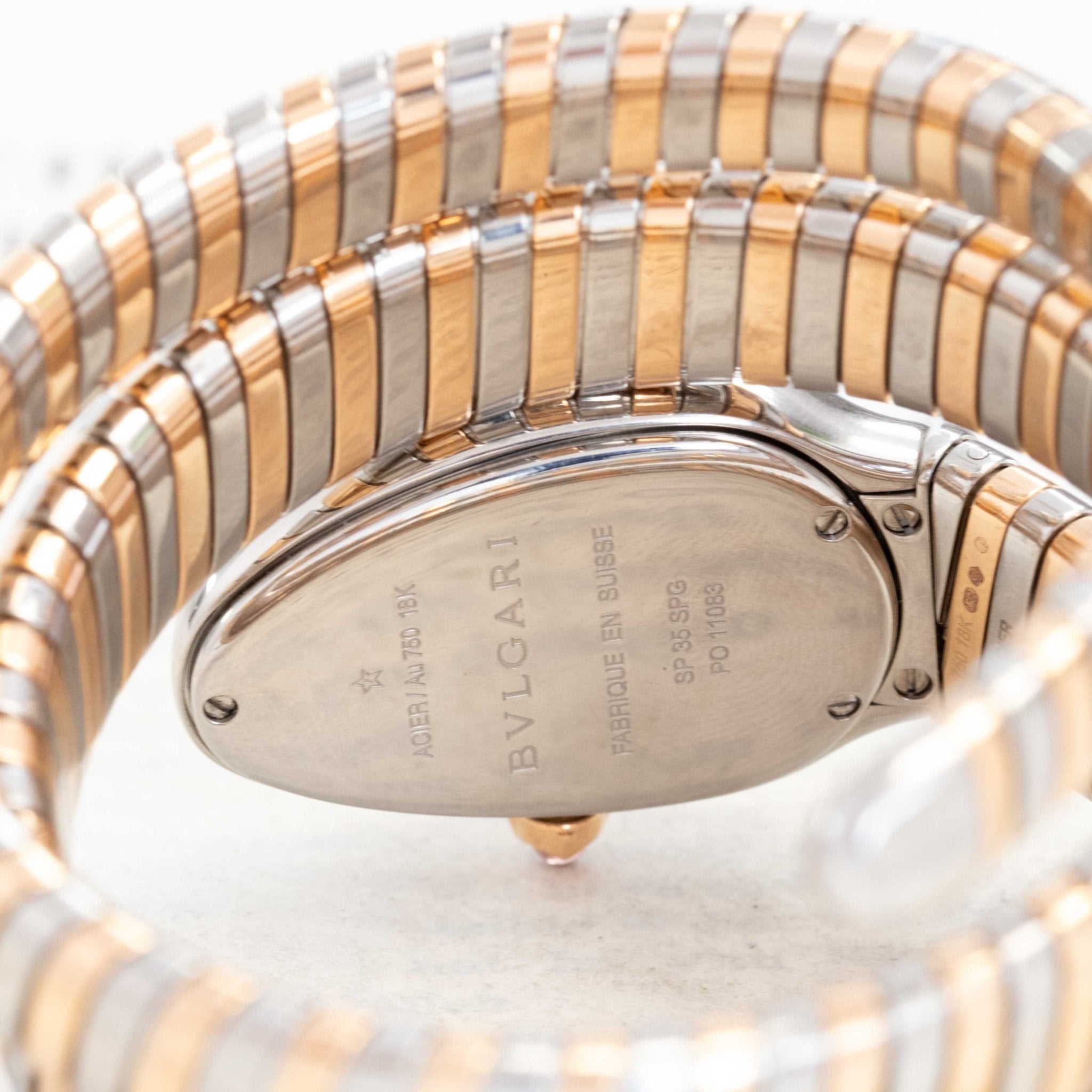 Case  photo of Luxury two-tone Serpenti Tubogas watch resting on book