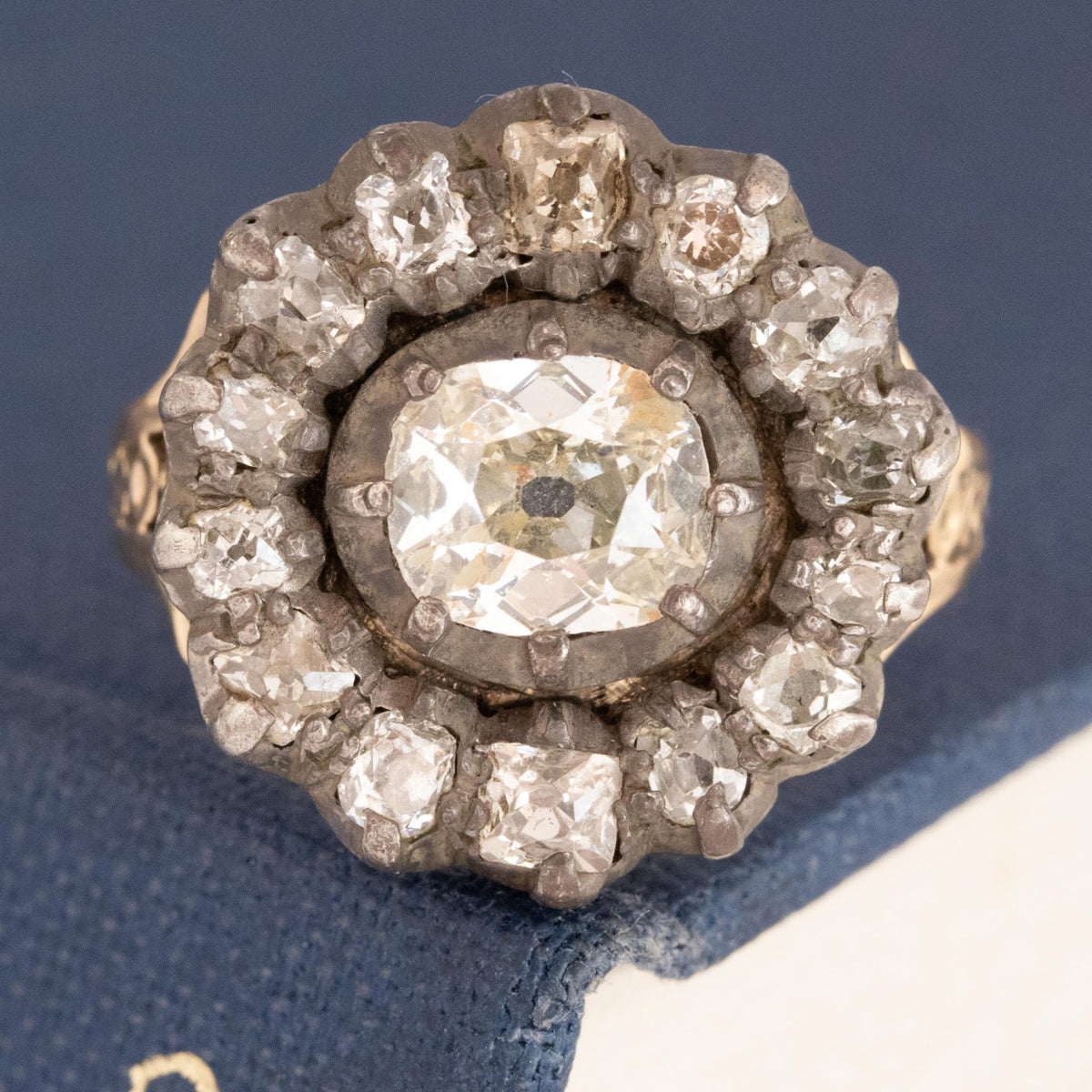 Just In | New Arrivals | Jewels by Grace