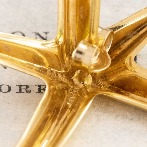 Large Starfish Earrings by Elsa Peretti for Tiffany & Co.