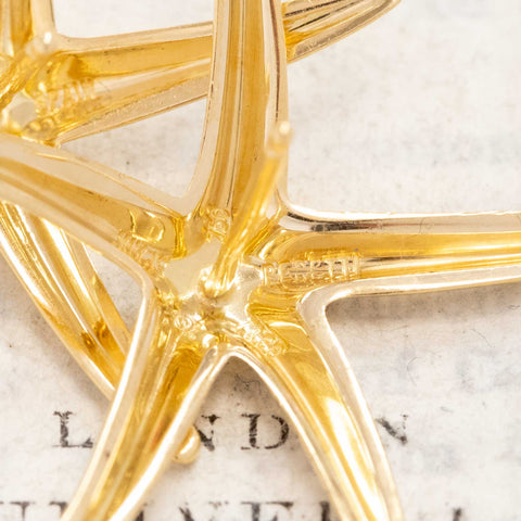 Starfish Earrings, by Elsa Peretti for Tiffany & Co.