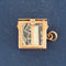 Vintage Dollar Cage Charm