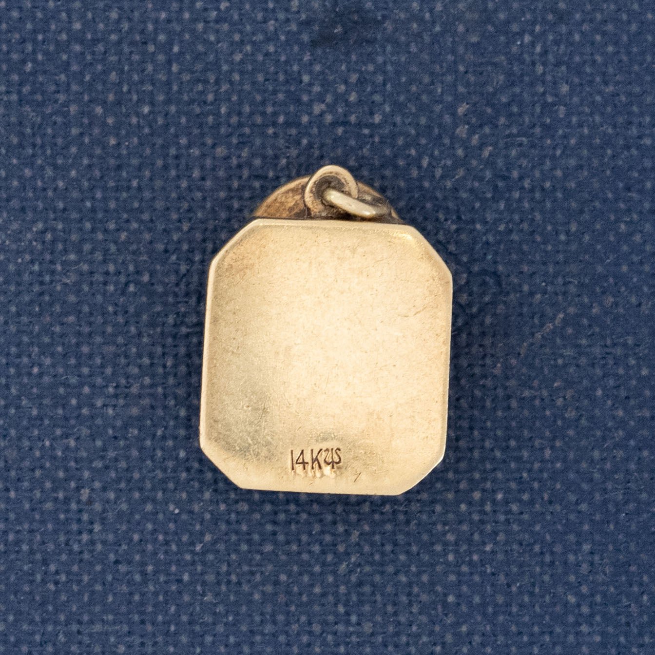 Vintage Enamel Scale Charm