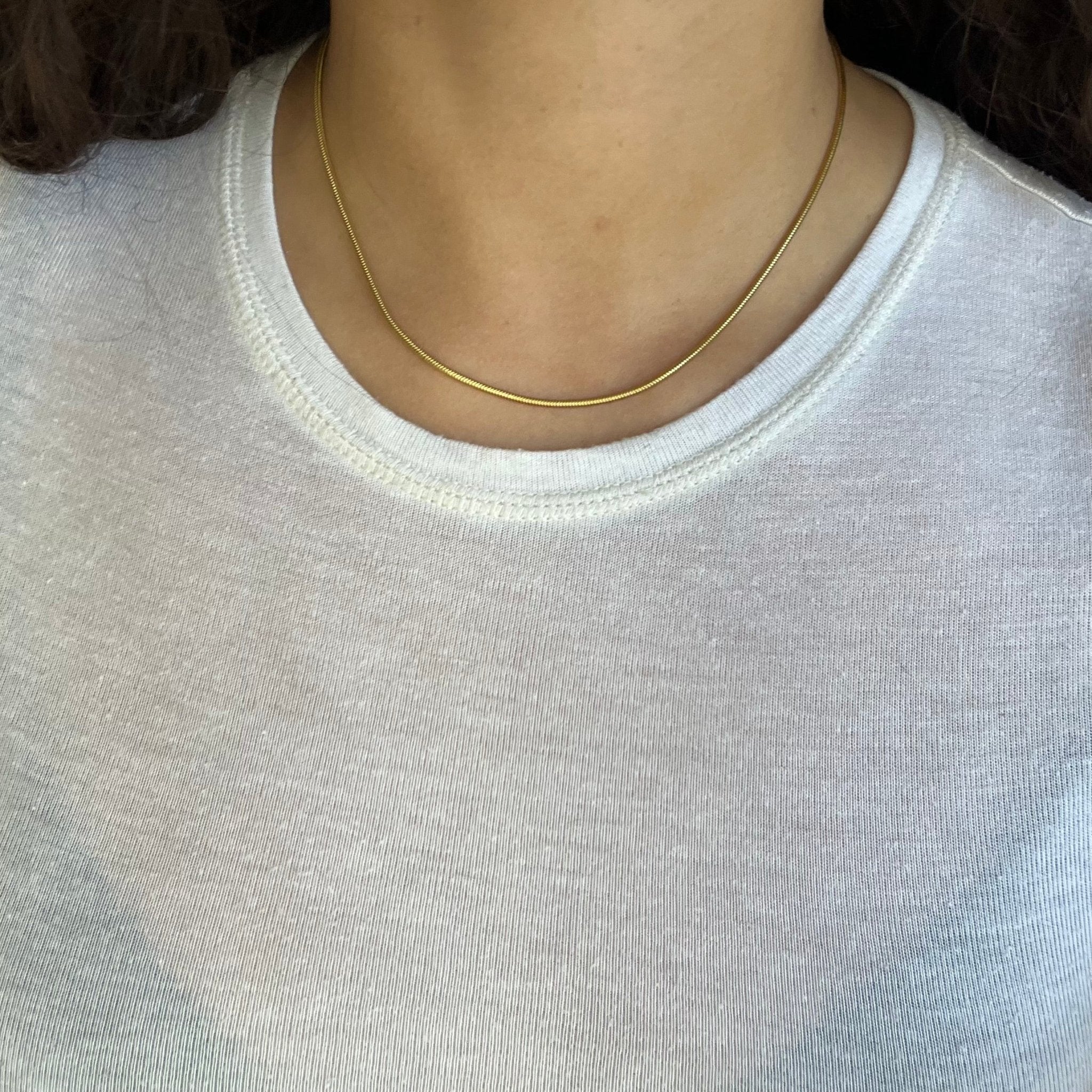 Vintage Snake Chain Necklace